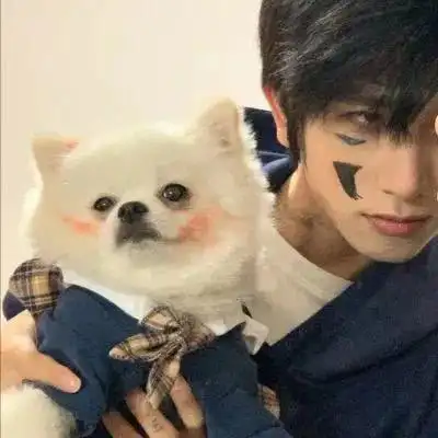 자넷
